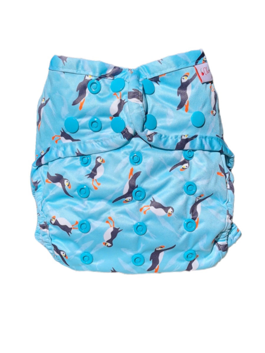 Cherrybottoms All in One Reusable Nappy