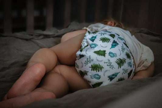 Cherrybottoms All in One Reusable Nappy